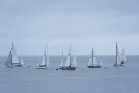 Yachts Racing
