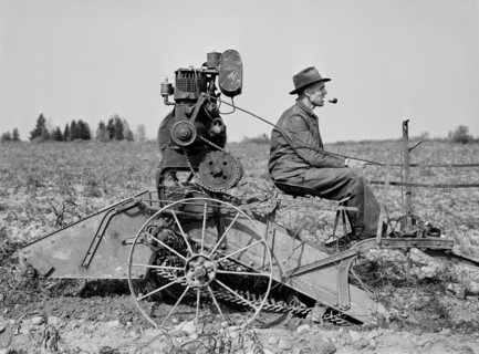 Farmer on horse-drawn Digger on Small Farm near Caribou