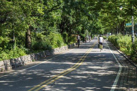 West Side Bicycle and Jogging Lanes