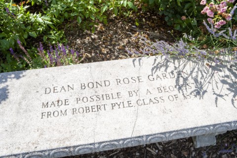 Stone Bench Detail