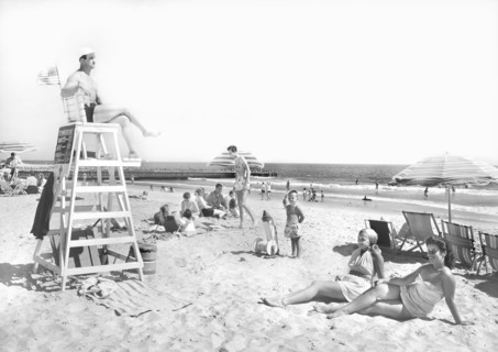 Beach Scene
