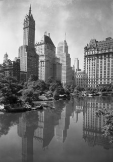 View from Central Park