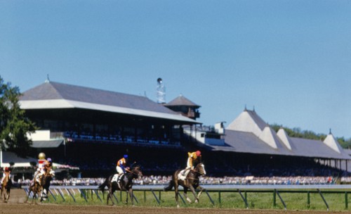 Horse Race