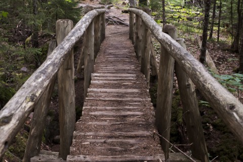 Log Footbridge over Stream in Woods