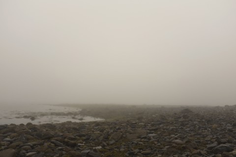 Heavy Fog during Low tide at Beach