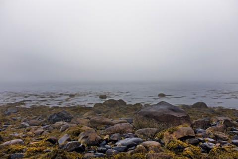 Heavy Fog during Low tide at Rocky Beach
