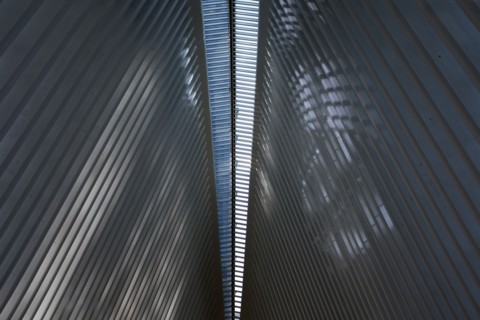 Low Angle View of Ceiling Detail