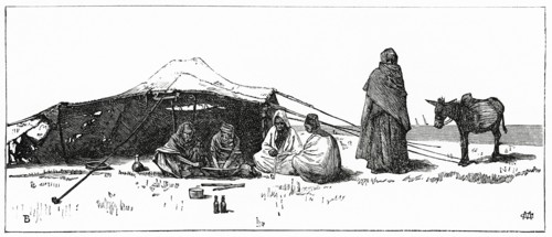 Bedouin Camp near Cairo