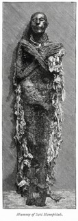 Mummy of Seti Menephtah (Seti-Merenptah)
