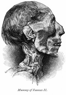 Mummy of Ramses II