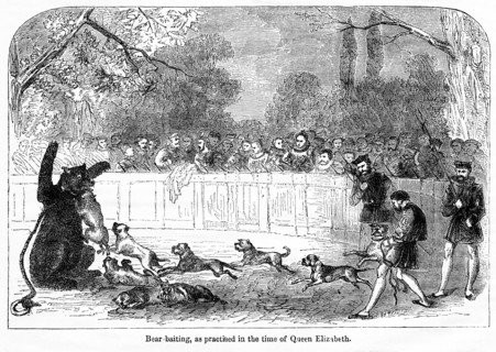 Bear-baiting