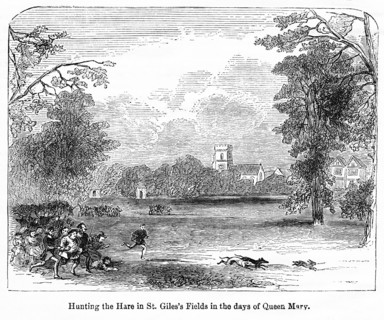 Hunting the Hare in St. Giles’s Fields in the days of Queen Mary
