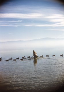 Rear View of Man standing in water with Duck Decoys