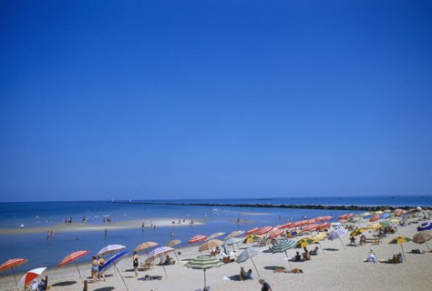 Beachgoers and Sun Umbrellas