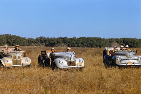 Quail Hunt