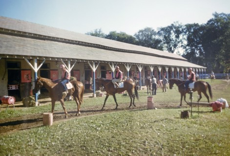 Jockeys on Horses