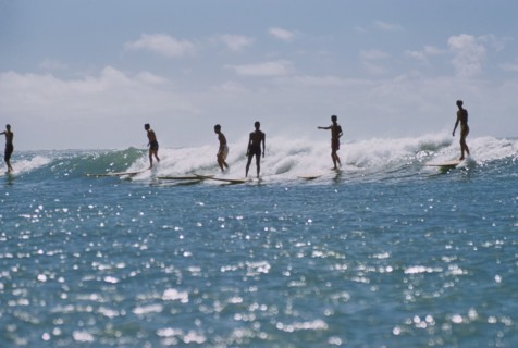 Silhouette of Surfers riding a Wave
