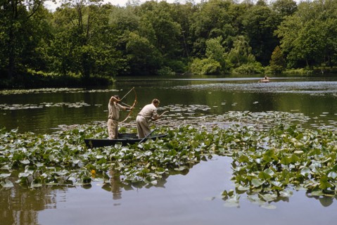 Carp Fishing with Bow and Arrow