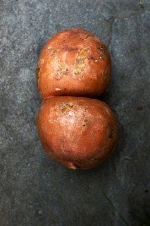 Sweet Potato