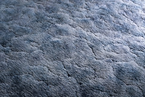 Blue Carpet