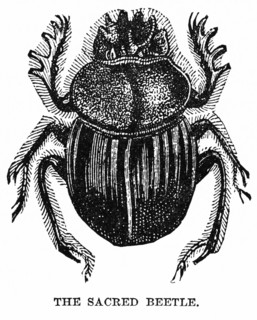 The Sacred Beetle