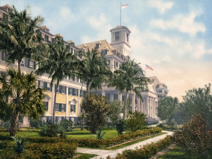 The Royal Poinciana