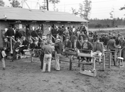 Carpenters and Construction Workers