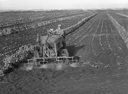 Motor-driven Sprayer Machine