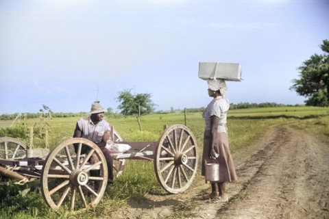 Roadside Conversation