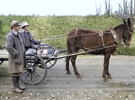 Two Farmers with Mule-Drawn Wagon