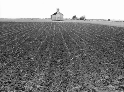 Church and Cotton Field