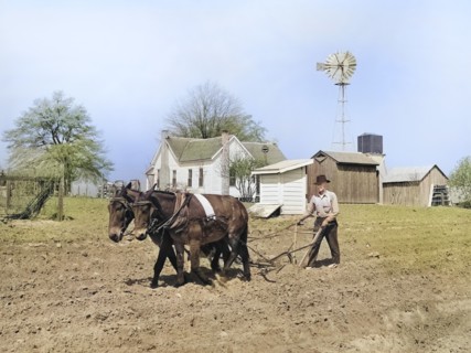 Farmer plowing Field
