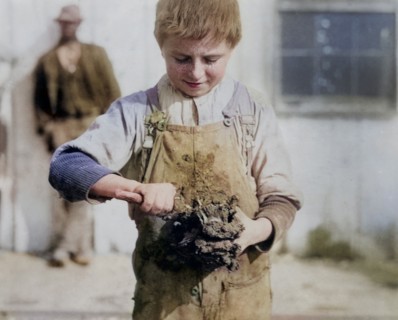 Young Oyster Shucker