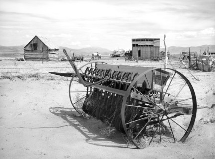 Dry sandy soil making farming impossible