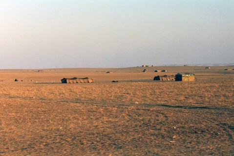 Bedouin tents