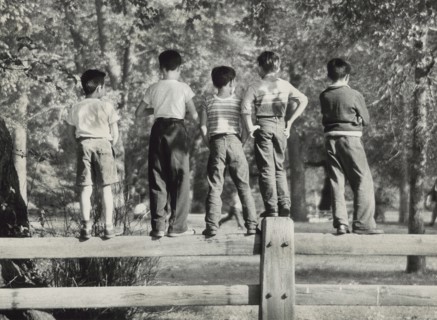 Rear view of five young boys standing on park fence