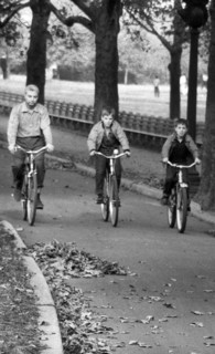 Man and two boys riding bicycles through Central Park