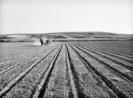 Farmer discing his land, Black Canyon Project, Canyon County, Idaho, USA, Russell Lee, U.S. Farm