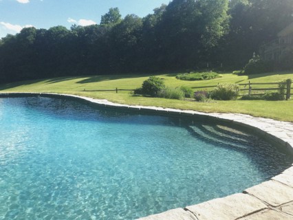 Swimming pool surrounded by scenic landscape and gardens