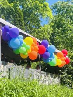 Pride rainbow balloons