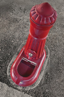 High angle view of public water bowl for domestic pets