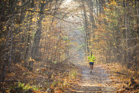 Mid-adult man running along scenic wooded path in autumn