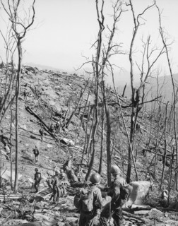 Members of U.S. 1st ARVN Division move along trail during assault operation near Fire Support Base