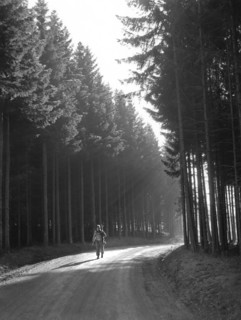 U.S. Private First Class Margerum walking through forest as he returns from front lines, Bastogne