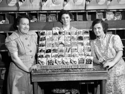 Three women with typical display rack of Burpee seeds, W. Atlee Burpee Company, Philadelphia,