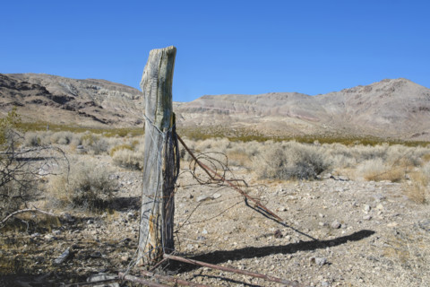 Old barbed wire fence post in ghost town, Rhyolite, Nevada, USA
