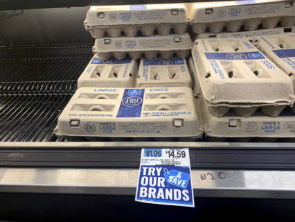 Egg display at grocery store, Brooklyn, New York, USA