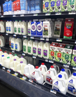 Dairy section in grocery store, Brooklyn, NY, USA