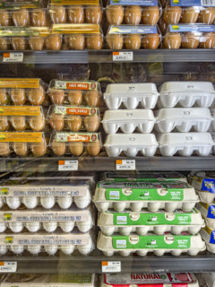 Eggs display in grocery store