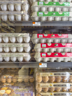Eggs display in grocery store
